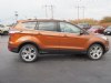 2017 Ford Escape - North Hampton - NH