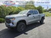 2024 Chevrolet Silverado 1500 Custom Trail Boss Gray, Mercer, PA