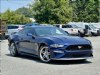 2019 Ford Mustang GT Dk. Blue, Liberty, NC